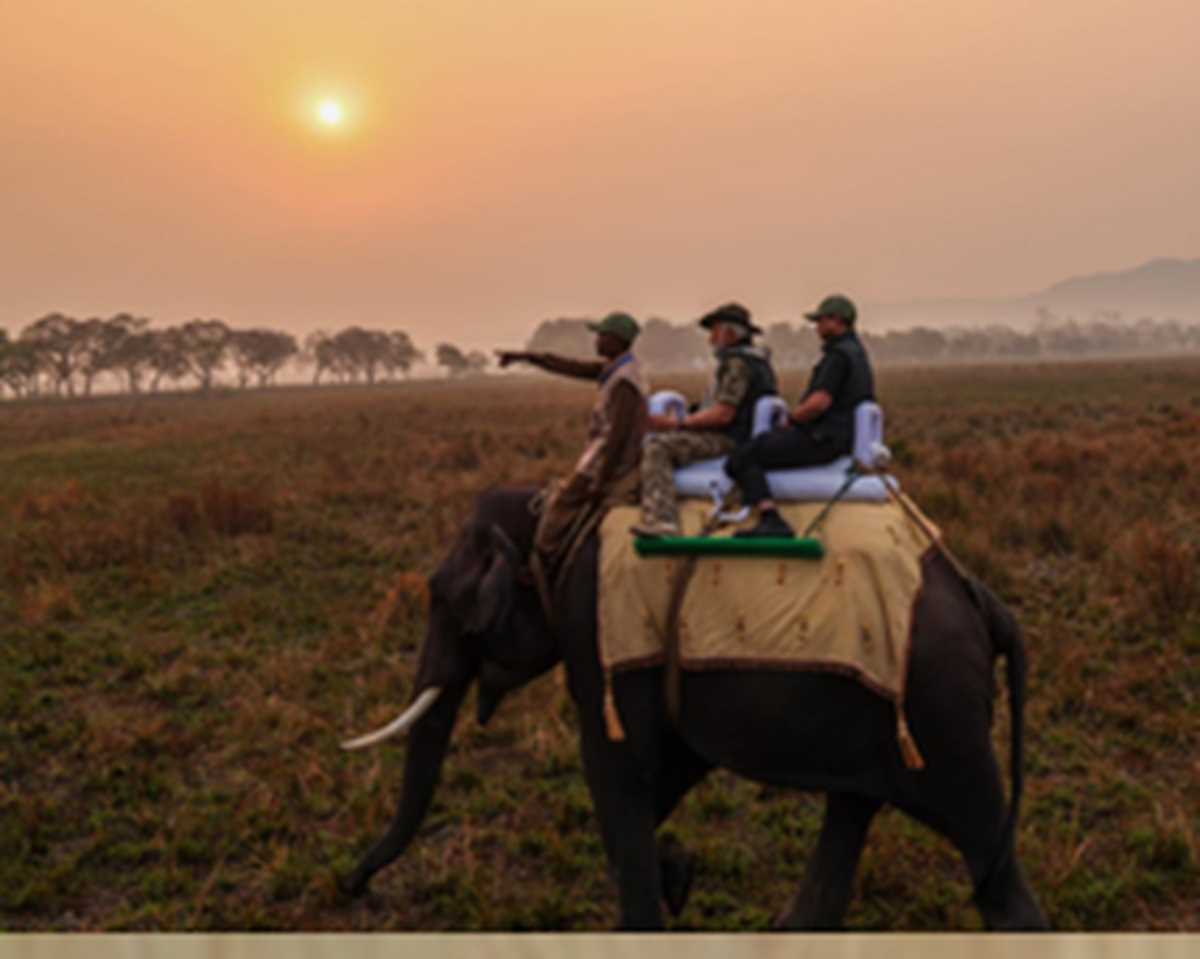 पीएम मोदी ने की काजीरंगा नेशनल पार्क में सफारी पीएम मोदी ने की काजीरंगा नेशनल पार्क में सफारी